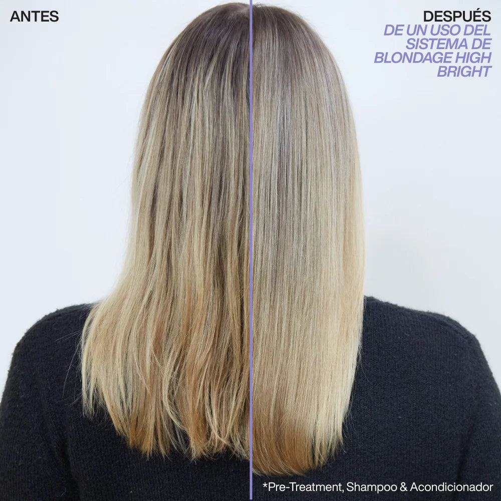 Blondage High Bright Shampoo 300Ml - Redken