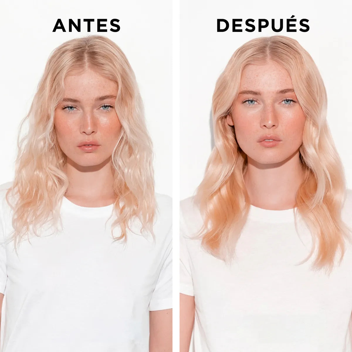 Shampoo Nutritivo Le Bain - Kerastase
